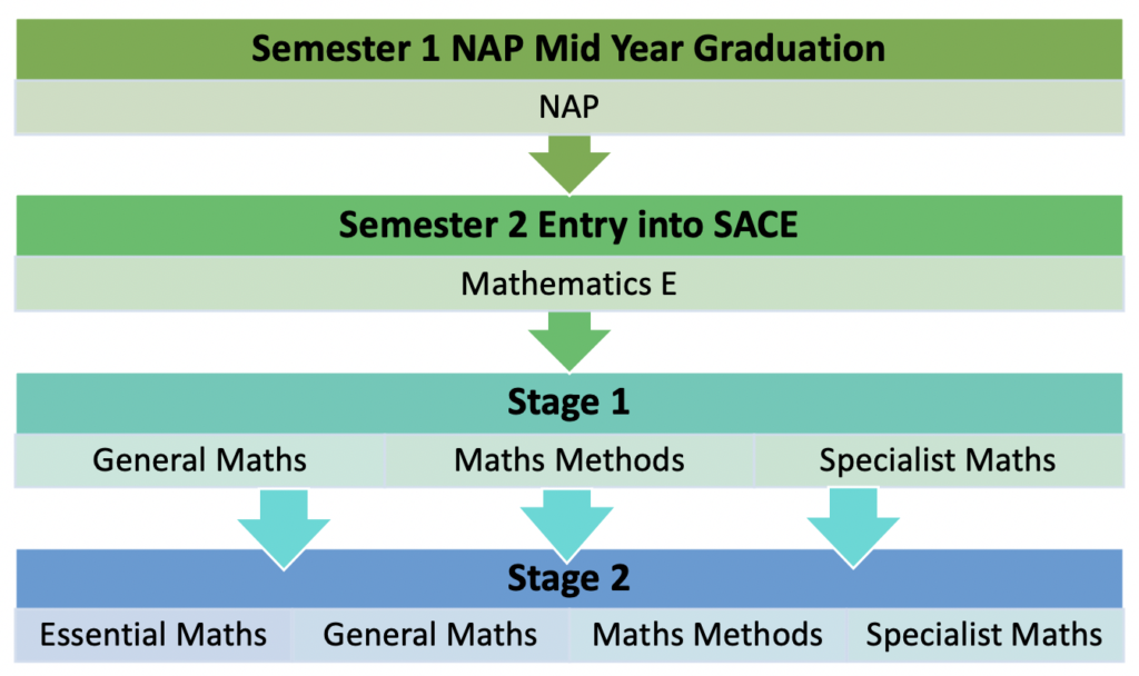 Demonstration of possible pathways from NAP to Stage 2